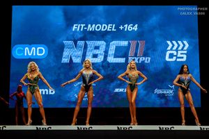 FIT-MODEL +164 раунд 1